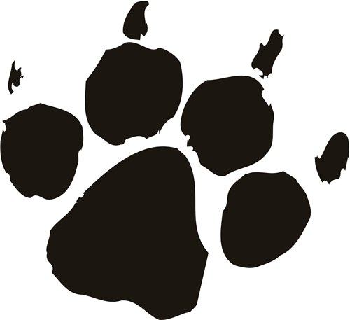 paw 